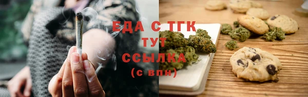 прущие грибы Елабуга