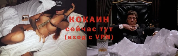 мет Вяземский