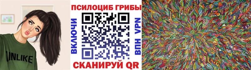 Псилоцибиновые грибы Cubensis где купить Петровск